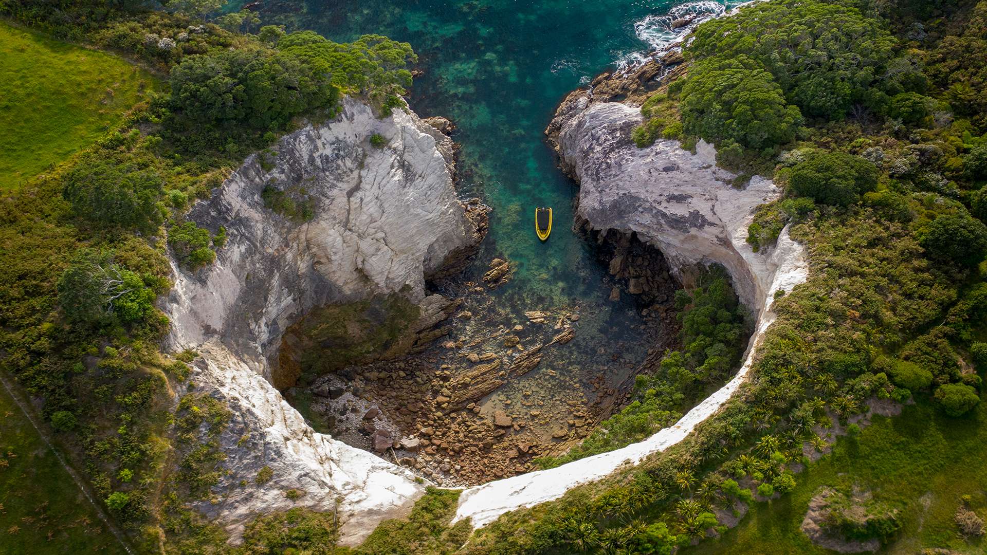 Cathedral Cove Boat Tour Blow Hole